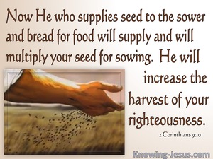 2 Corinthians 9:10 The Lord Supplies Seed. He Multiplies Your Sowing (pink)