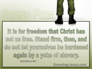 Galatians 5:1 It Is For Freedom That Christ Has Set Us Free (windows)04:06