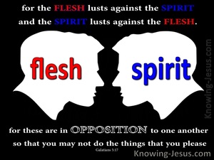 Galatians 5:17 Flesh Lusts Against The Spirit (black)