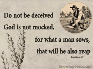 Galatians 6:7 What An Man Sows He Will Reap (beige)