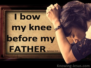 Ephesians 3:14 Bow The Knee Before The Father (brown)