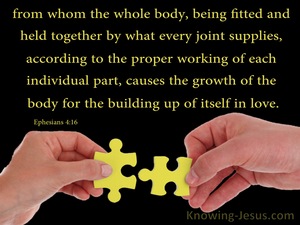 Ephesians 4:16 The Body Fitted And Held Together (yellow)