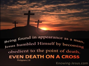 Philippians 2:8 Obedient, Even To Death On The Cross (orange)