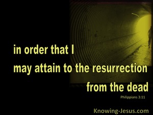 Philippians 3:11 Attain To The Resurrection Of The Dead (black)