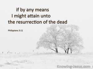 Philippians 3:11 Attain To The Resurrection Of The Dead (white)
