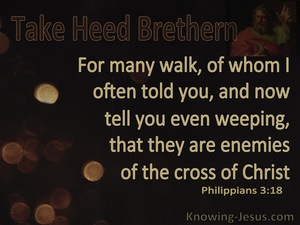 Philippians 3:18 Many Are Enemies of The Cross Of Christ (brown)