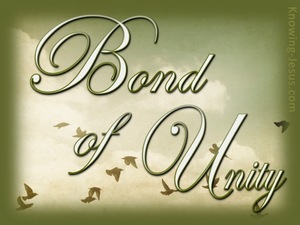 Colossians 3:14 Bond of Unity (devotional)12:19 (sage)