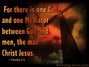 1 Timothy 2:5 One Mediator Between God And Man (brown)