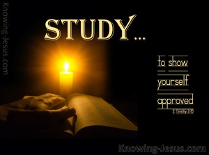 2 Timothy 2:15 Study To Show Yourself Approved (orange)