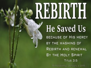 Titus 3:5 He Saved Us (sage)