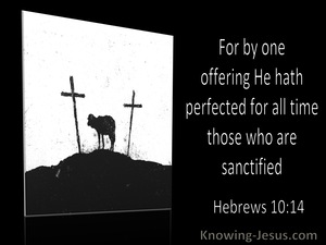 Hebrews 10:1 For By One Offering He Hath Perfected For Ever Them That Are Sanctified (utmost)12:08