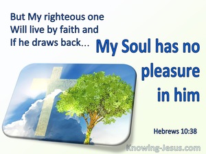 Hebrews 10:38 My Righteous One Shall Live By Faith (blue)