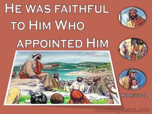 Hebrews 3:2 He Was Faithful Like Moses (brown)