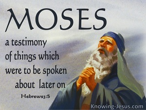 Hebrews 3:5 Moses Was Faithful In His House As A Servant (gray)