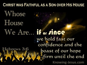 Hebrews 3:6 Christ Was A Faithful Son Over All His House (yellow)