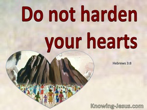 Hebrews 3:8 Do Not Harden Your Hearts As In The Wilderness (red)