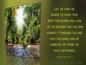Hebrews 4:11 Let Us Be Eager To Know This Rest For Ourselves (windows)11:16