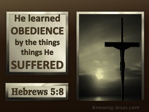 Hebrews 5:8 Jesus Learned Obedience Thru Suffering (brown)