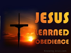 Hebrews 5:8 Jesus Learned Obedience (orange) 