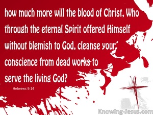 Hebrews 9:14 The Blood of Christ (red)