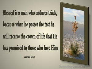 James 1:12 Blessed Is The Man The Endures Trials (gray)
