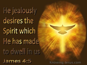 James 4:5 He Jealously Desires The Spirit Which He Has Made To Dwell In Us (brown)