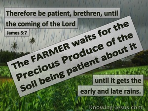 James 5:7 Be Patient Until The Coming Of The Lord (gray)