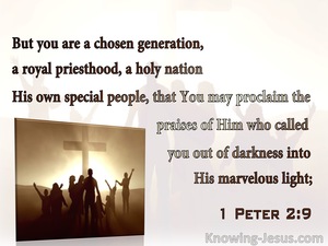 1 Peter 2:9 You Are A Chosen Nation, A Royal Priesthood, A Holy Nation (brown)