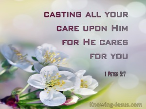 1 Peter 5:7 Casting All Your Care On Him For He Cares For You (pink)