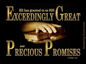 2 Peter 1:4 Exceeding Great And Precious Promises (gold)