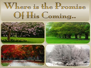 2 Peter 3:4 Where Is The Promise Of His Coming (beige)