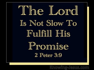 2 Peter 3:9 God is not Slow (black)