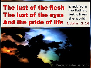 1 John  2-16 The Lust Of The Flesh, The Lust Of The Eye The Pride Of Life (red)