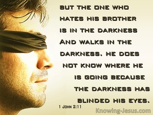 1 John 2:11 The Darkness Has Blinded His Eyes (sage)