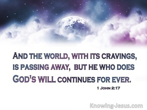 1 John 2:17 The Passing World (white)