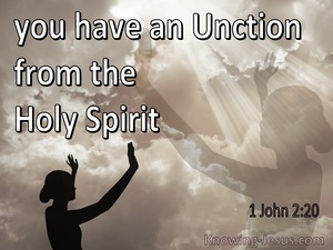 1 John 2:20 You Have An Unction From The Holy Spirit (gray)