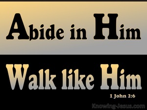 1 John 2:6 Abide In Him Walk Like Him (black)