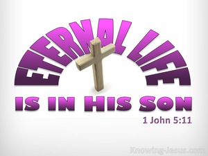 1 John 5:11 This Life Is In His Son (pink)