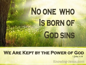 1 John 5:18 No One Born Of God Sins (brown)