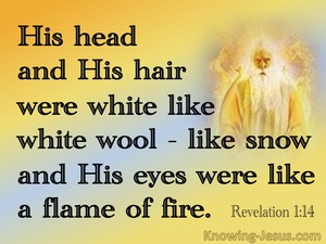 revelation hair his head wool were jesus bible yellow eyes fire verse snow does flame knowing mean