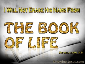 Revelation 3:5 Not Erased From The Book Of Life (yellow)