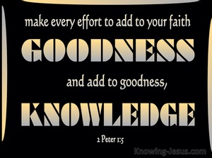 2 Peter 1:5 Add To Your Faith Goodness (black)
