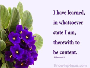 Philippians 4:11 Content In All Things (devotional)01:07 (pink)