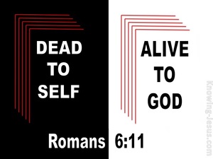 Romans 6:11 Dead to Self (devotional)07-25 (black)