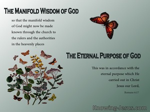 Romans 6:17 God's Eternal Purpose (devotional)08:15 (sage)