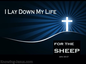 John 10:17 I Lay Down My Life For The Sheep (blue)
