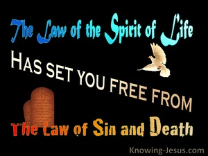 Romans 8:2 The Law Of The Spirit Of Life (black)