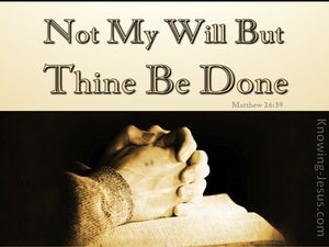 Matthew 26:39 Thy Will Be Done (devotional)07-31 (cream)