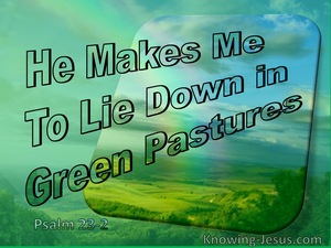 Psalm 23:2 He Makes Me Lie Down in Green Pastures (blue)