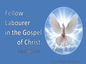 1 Thessalonians 3:2 Fellow Labourer In The Gospel Of Christ (utmost)11:10
